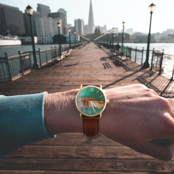Bobo Bird Watch | Wooden Watch - Image 6