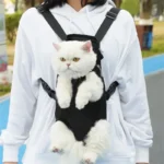 Pet Backpack Adjustable