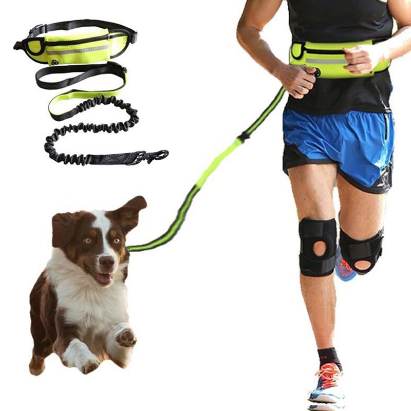 3a3eb19f-1481-43e2-be82-7b34a19e61aa.jpg Hands Free Dog Leash Pet Walking And Training Belt With Shock Absorbing Bungee Leash For Up To 180lbs Large Dogs Phone Pocket And Water Bottle Holder - Image 1