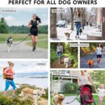 Hands Free Dog Leash Pet Walking And Training Belt With Shock Absorbing Bungee Leash For Up To 180lbs Large Dogs Phone Pocket And Water Bottle Holder - Image 3