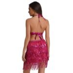 Belly Dance Costume Sexy Tassel Dance Dress - Image 2